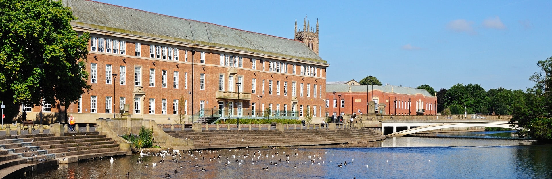 River Derwent, Derby Ducks and swans on the River Derwent with the Council House buildings behind, Derby