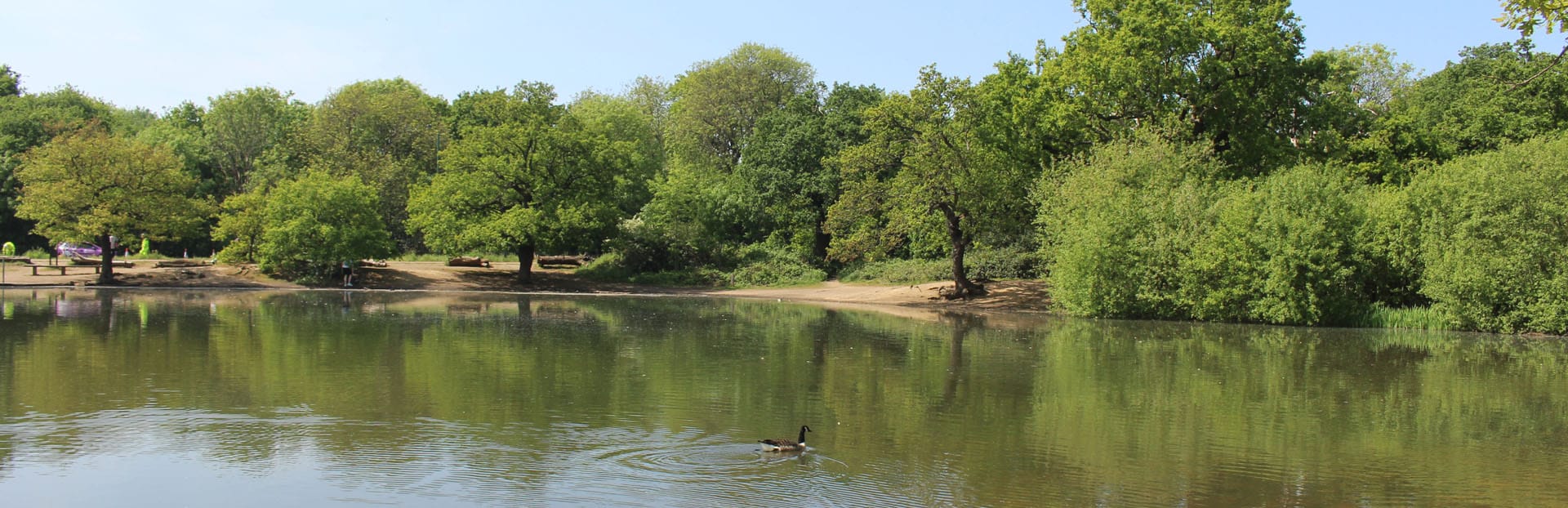 View of Redbridge