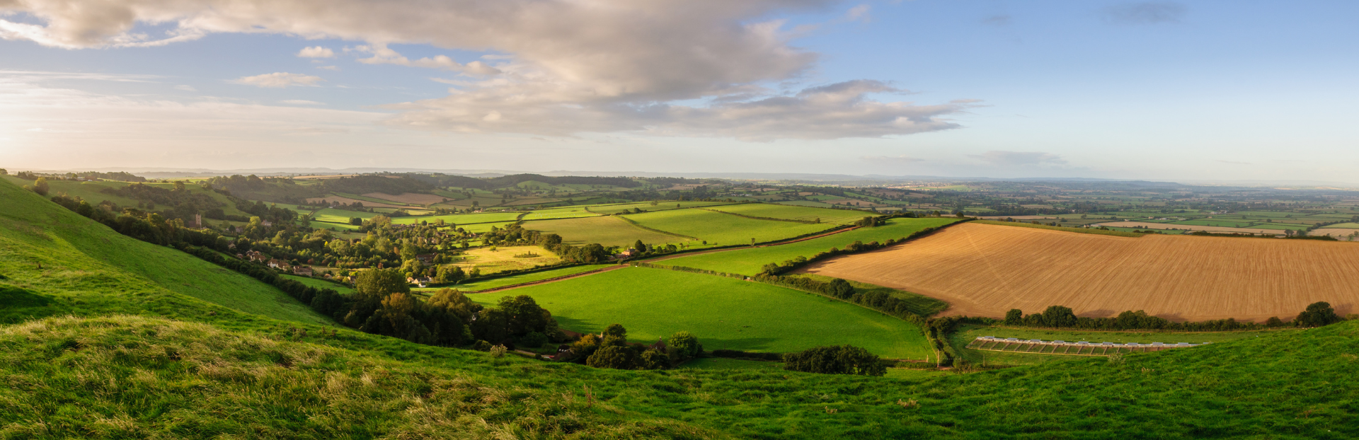 The Somerset Levels near Wells, flat countryside under a wide sky