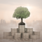 Growing a Property Portfolio
