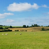 The rolling hills of southern England.