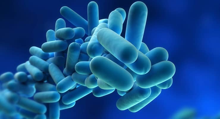 A 3D graphic and close-up illustration of legionella bacteria