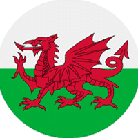 The Welsh flag.