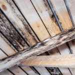 Wooden beams being attacked by wet rot.