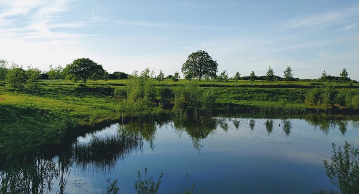 A calm lake in summer. Photograph taken at Tattenhoe Park, Milton Keynes