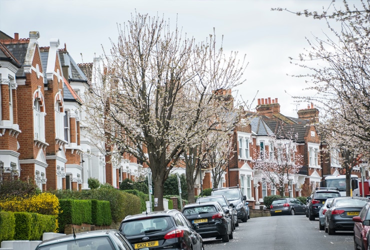 A tree-lined street in Wimbledon with white townhouses.