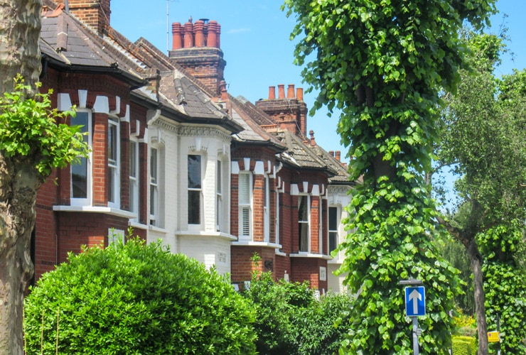 Row of terraced housing surrounded by mature trees in Chiswick, a leafy affluent district of west London.