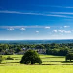 Holmwood common in Surrey at the foot of the North Downs and the Surrey hills.