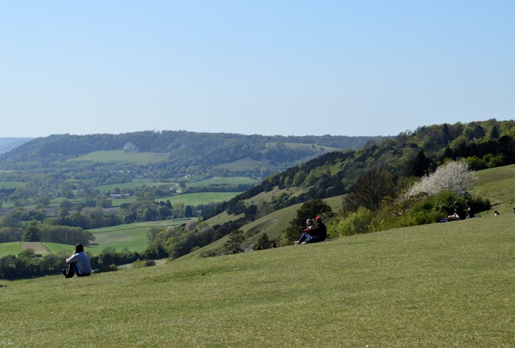 A view of Surrey from Reigate Hill