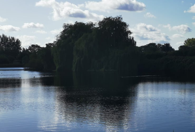 Trees photographed across a lake. Photograph taken at Admiral's Walk in Hoddesdon.