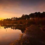 A sunset reflected in a lake. Photograph taken in Delamere Forest, Cheshire, UK.