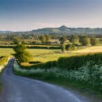 A lane lined with spring verge flowers leads down to the Somerset Levels, with Glastonbury Tor in the background.