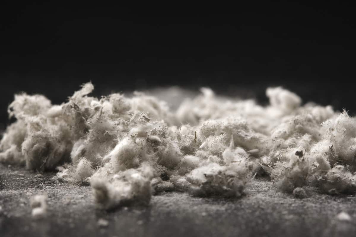 A close up photograph of asbestos.