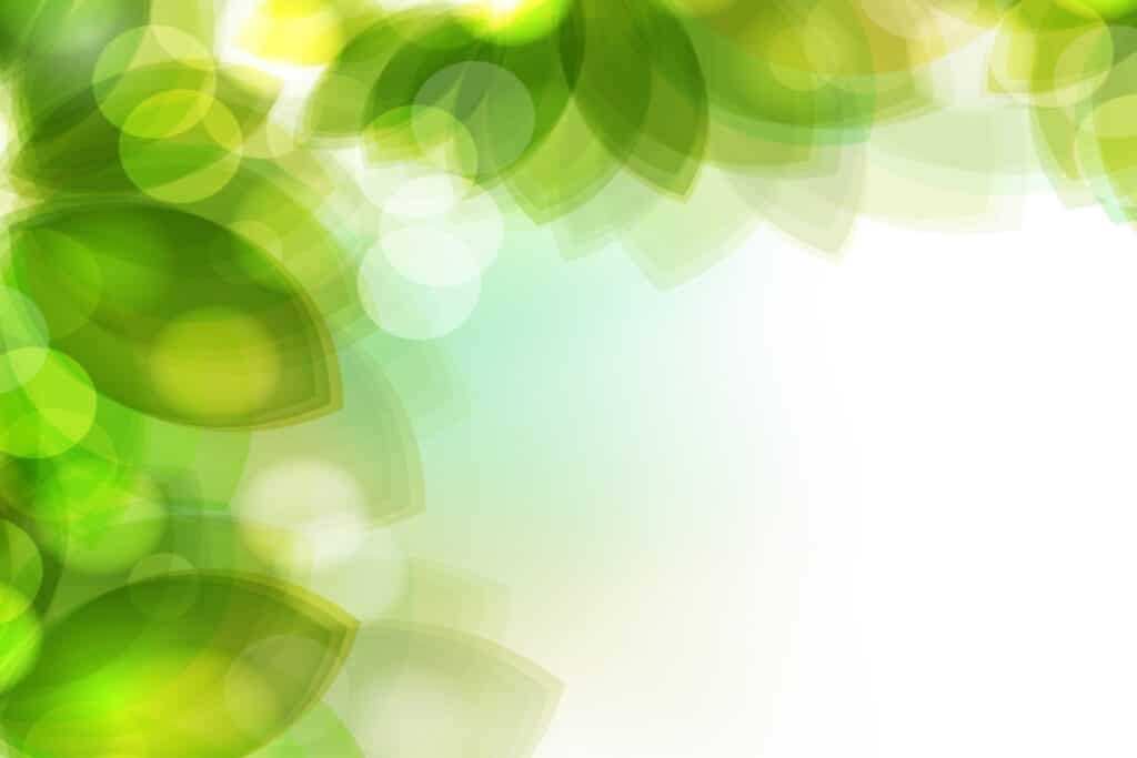 EPC ‘C’ Target and Improving Energy Efficiency: A Landlords Guide