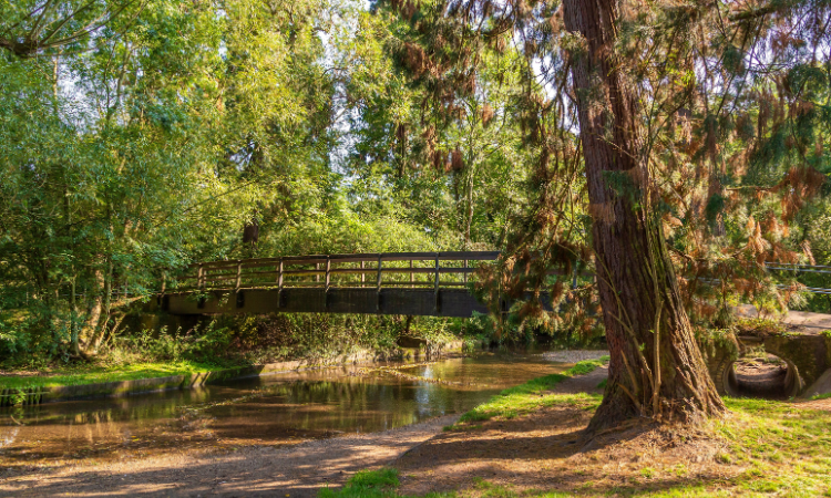 Malvern and Brueton park in Solihull