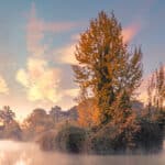 Mist hangs over the lake in Abington Park, Northampton.