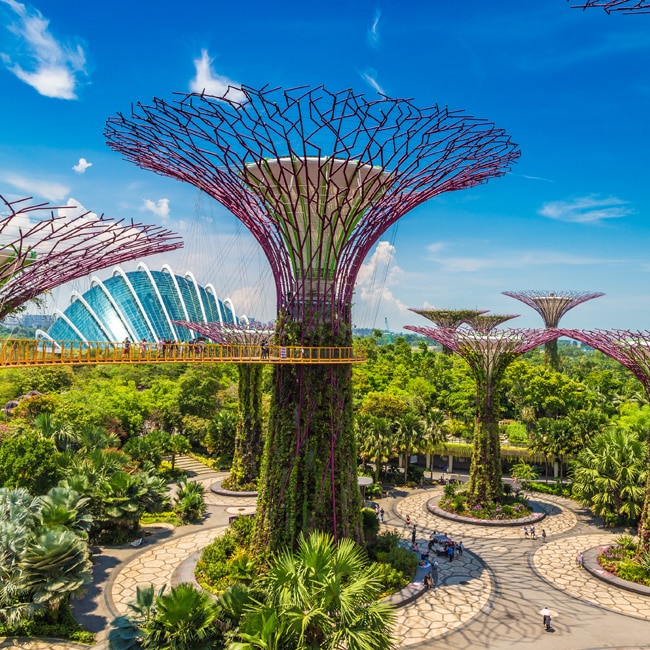 Supertree Grove in Singapore.