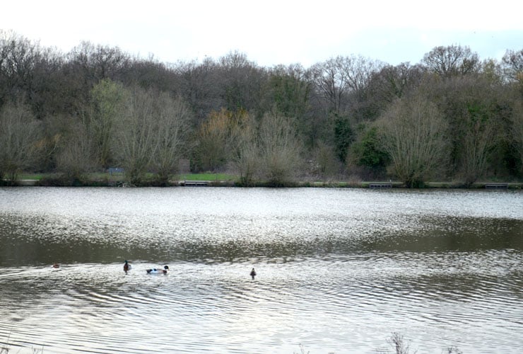 View over the lake in Hainault Forest, Redbridge, London.