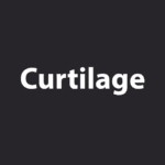 White word on a black background. Word says Curtilage.