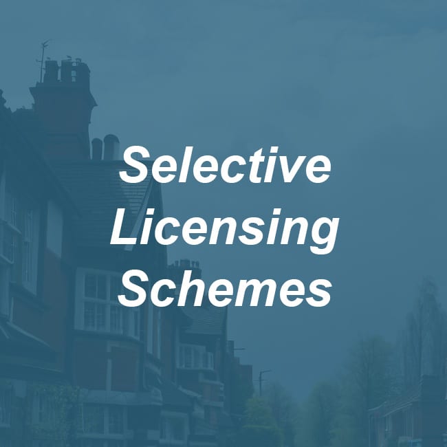 Text says, Selective Licensing Schemes.