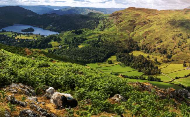 View of Grasmere Lake