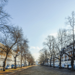 A street in Islington, London.