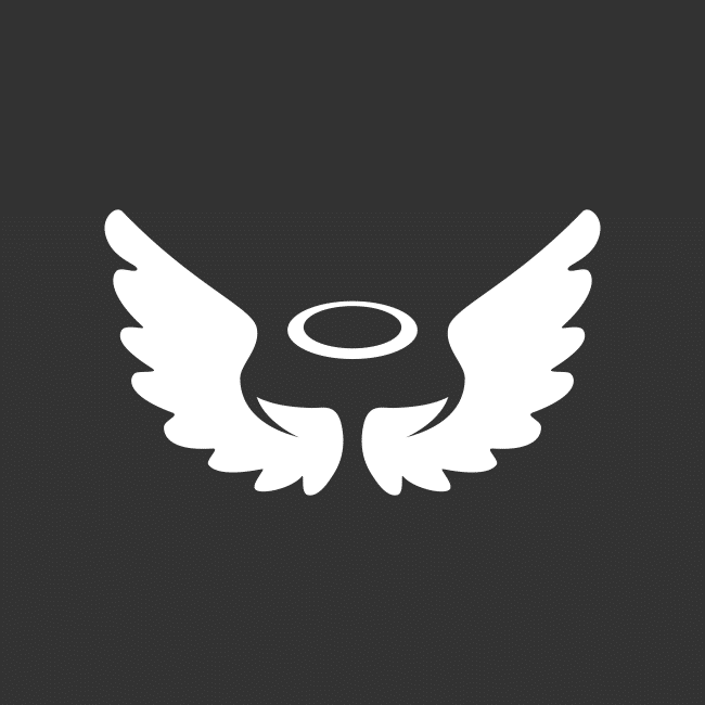 An icon showing angel wings. Represents an angel investor.
