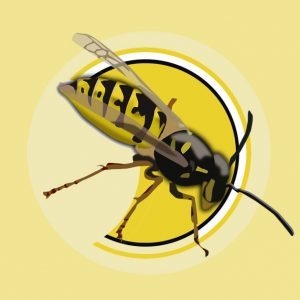 An illustration of a wasp.